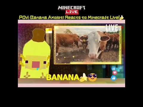 [Clip] Banana Axolotl Reacts to Minecraft Live!🍌🍌 thumbnail