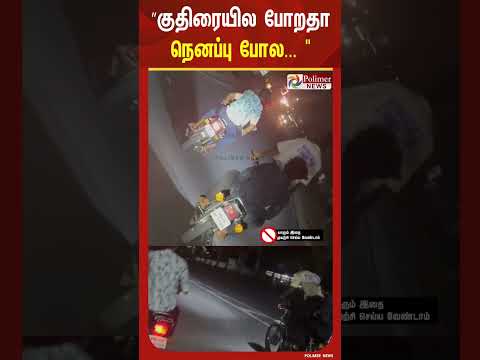 ”குதிரையில போறதா நெனப்பு போல... ஜம்ப் பண்ணி ஜம்ப் பண்ணி போறாங்களே”... thumbnail
