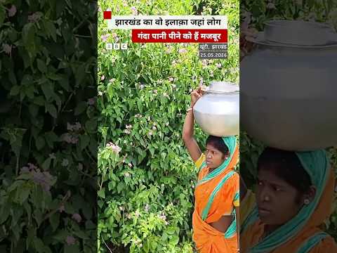 Jharkhand के खूंटी ज़िले में काई वाले गड्ढे का पानी पीने पी रहे हैं लोग #jharkhand #watercrisis thumbnail