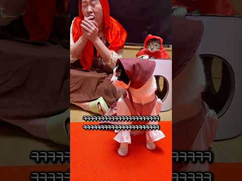 성냥팔이 고양이 thumbnail