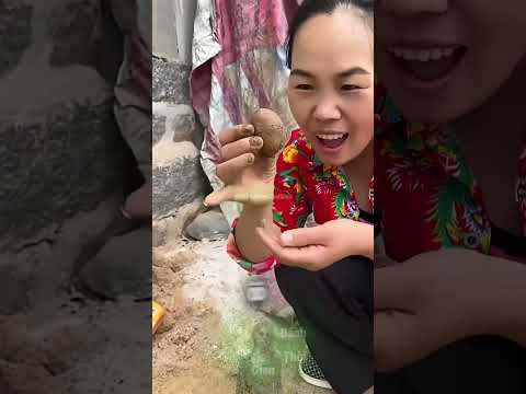 Quả Trứng Làm Từ Đất Sét Thách Thức Mọi Chiếc Búa 😱 thumbnail