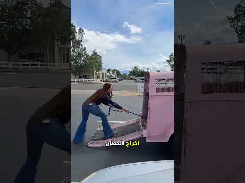 أحضرت أجمل حصان في العالم وصدمت الجميع! 😱🐴 thumbnail
