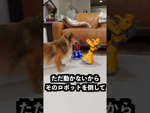 振るとパンチするロボットのリモコンを電動マッサージ機につければ高速パンチするはず！ thumbnail