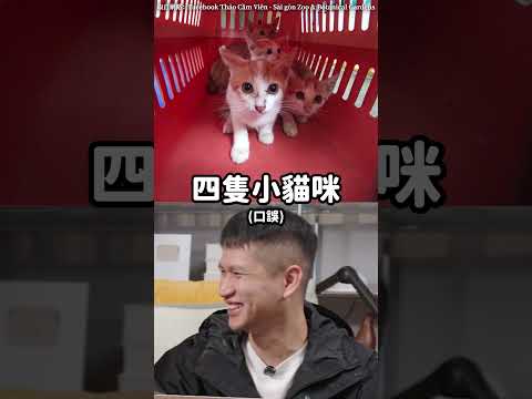 這隻貓，震懾了動物園裡所有黑熊｜志祺七七 Shorts #duo thumbnail