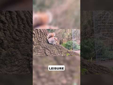 The Transformation of Monasteries in York England thumbnail