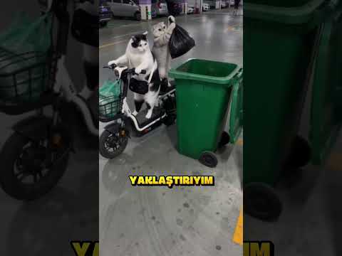 Çöpü Dışarı Hangi Hayvan Çıkartıcak.. ❗?️ thumbnail