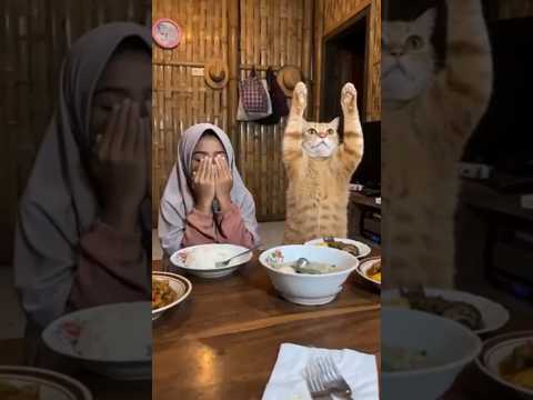 salah baca doa #meme #meow #ai thumbnail