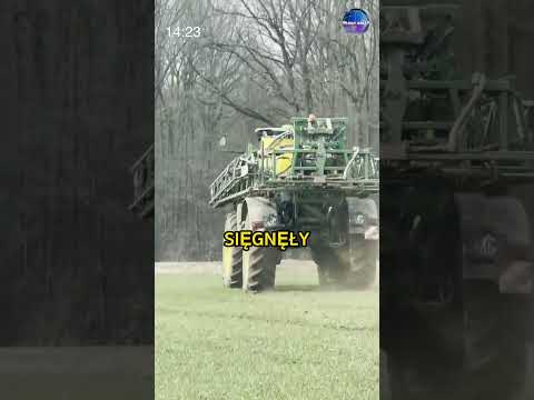 Zniszczyli 200 Hektarów Pszenicy W 1 Noc thumbnail