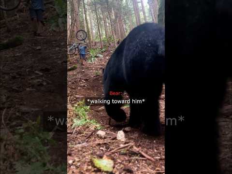 He Wanted To Ride In The Forest But It Didn’t Go as Planned… thumbnail