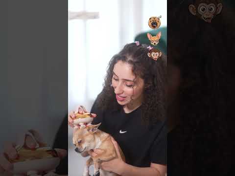 شفتوا فلوق عملت غابة لوردة 🙊⬇️⬆️ thumbnail