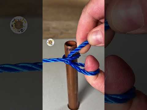 Blue Knot ? thumbnail