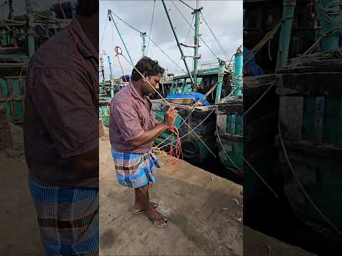 Oh My God! Brave Man Fishing Idea??? #fishing #fishingvideos #thoondilulagam #seafishing thumbnail