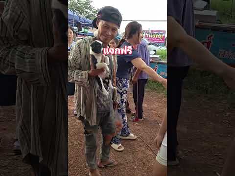 แจกฟรี ดีกว่าเอาไปปล่อย thumbnail