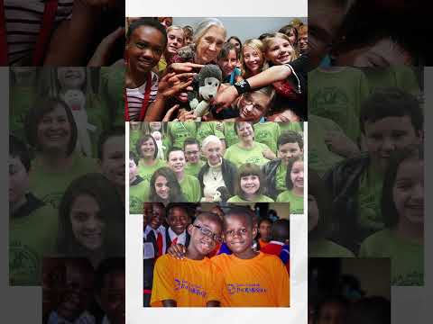 Who Was Jane Goodall? | #shorts thumbnail