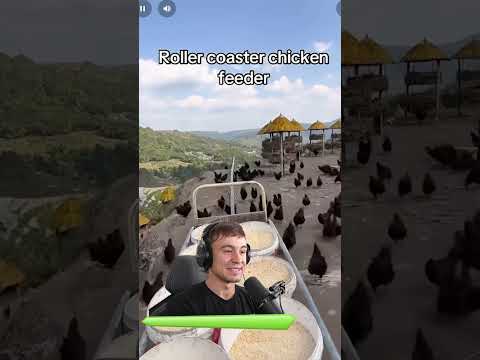 Diese HÜHNER Leben BESSER als DU! thumbnail