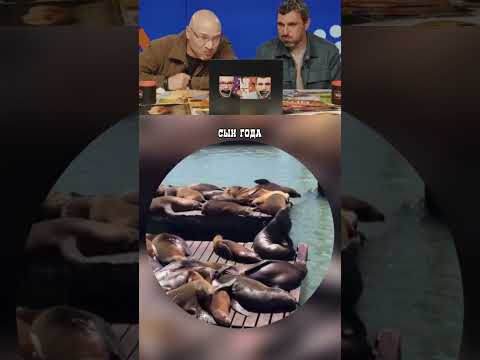Когда подумал обо всех! thumbnail