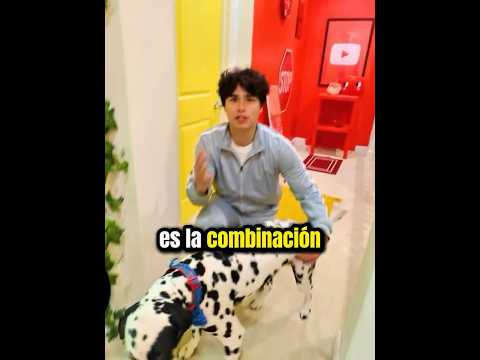 Stokes Twins El Perro de Alan Era el Cuarto Secreto😳 thumbnail