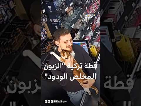 قطة تركية تعانق بائعا يوميا thumbnail