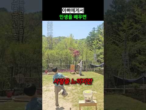아빠에게서 인생을 배우면 @siangureum thumbnail