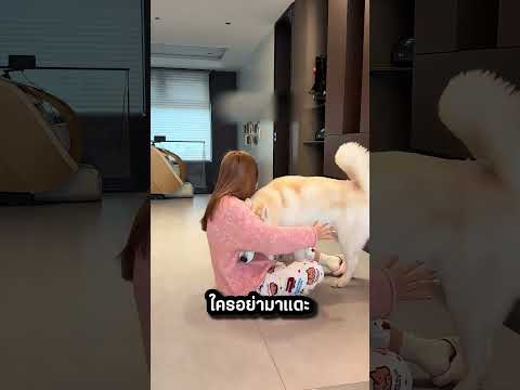 "บ้านนี้มีกฎเหล็ก! รักใครรักจริง แต่ถ้าไม่ใช่ทีมเดียวกัน...เตรียมตัวเลย" thumbnail