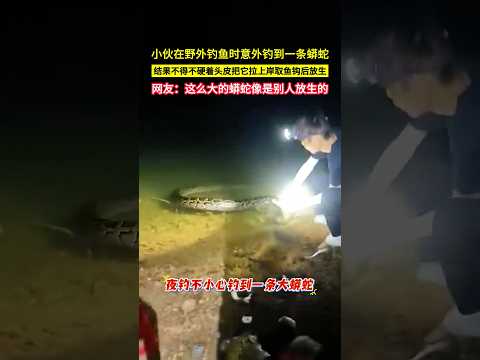 小夥在野外釣魚時意外釣到一條蟒蛇，結果不得不硬著頭皮把它拉上岸取魚鉤後放生，網友：這麼大的蟒蛇像是別人放生的！#shorts thumbnail