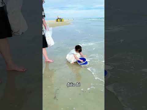 Người bố ném viên ngọc trai quý giá nhưng điều xảy ra sau đó ? thumbnail