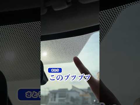 【何か知ってる？】フロントガラスのブツブツにある驚きの効果#shorts thumbnail