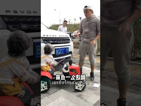 สุนัขตัวนี้เป็นคนดีจริงๆ ? thumbnail