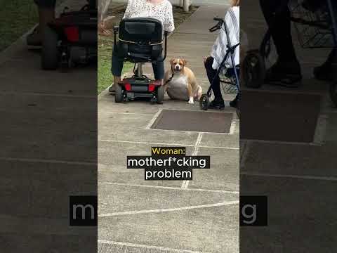Woman Meets Giant Dog... thumbnail