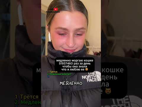 3 знака что твоя кошка любит тебя 😻 thumbnail