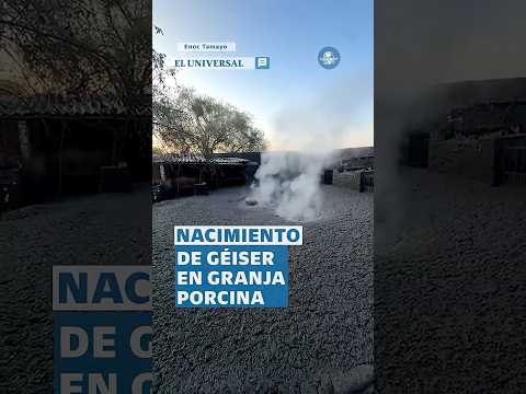 Nace géiser en pleno patio de vivienda de Ixtlán, Michoacán #Shorts thumbnail
