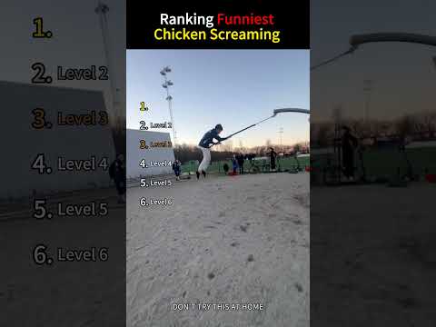 Ranking Funniest Chicken Screaming  #asmr  #funny #odlysatisfying #satisfying #fyp thumbnail