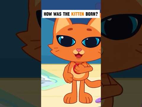 A boy made a plush kitten… and it came to life! 🧸🐱✨#shorts #Cute #Magic #PlushToy #KidsVideo thumbnail
