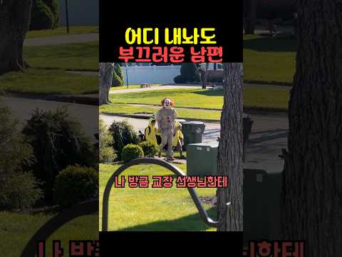 어디 내놔도 부끄러운 남편 thumbnail