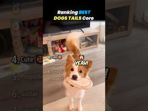 Ranking DOGS WITH UNCONTROLLABLE TAILS Core Moments!! 🐶💨 thumbnail