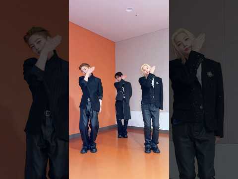 복승아 안 귀엽기 그거 어떻게 하는 건데 #StrayKids #스트레이키즈 #YouMakeStrayKidsStay thumbnail