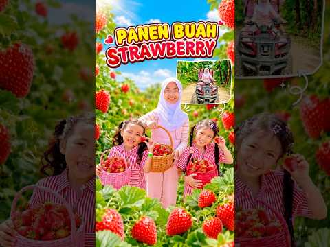 NOURA SUKA BANGET SAMA BUAH STRAWBERRY GUYS #vlog #panenstrawberry thumbnail
