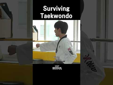 The Korean Taekwondo Survival Guide thumbnail