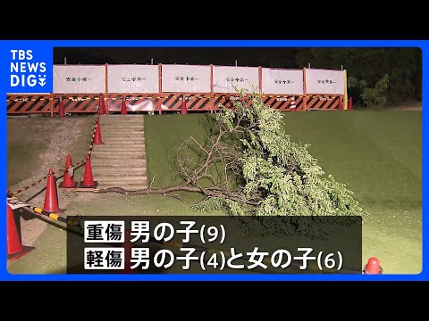 長さ約4.5メートルの枝が落下　子ども3人が重軽傷　「イヌエンジュ」の木、強風で折れたか　京都・宇治市の運動公園｜TBS NEWS DIG thumbnail