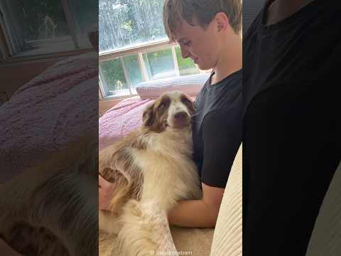 Dogs truly are a gift from God 😇❤️ thumbnail