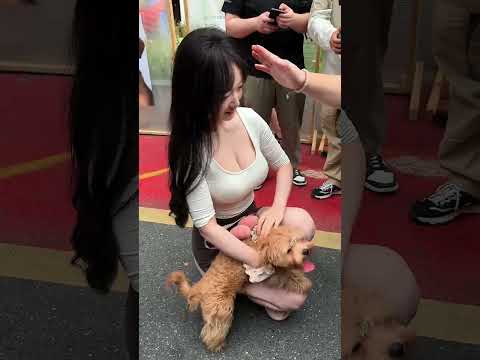 好可爱 thumbnail