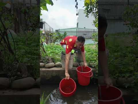 Đừng Khóc Đừng Hoảng Sợ Tôi Sẽ Tìm Thùng Giúp Bạn Vượt Dung Nham #haongchu thumbnail