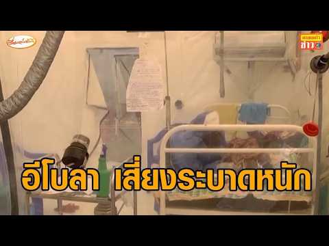 อนามัยโลกแถลง มีความเสี่ยงสูง 'อีโบลา' จะแพร่ระบาดออกไปในวงกว้างขึ้น thumbnail