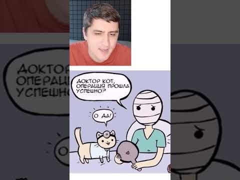Мем про доктора кота thumbnail