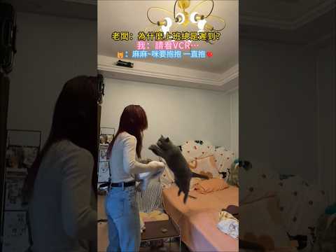 老闆：你為什麼總是遲到❓ 👧🏻：請看VCR…🐱：媽媽醬💝我要一直抱抱🤗 #cat #cute #shorts #funny #healing thumbnail