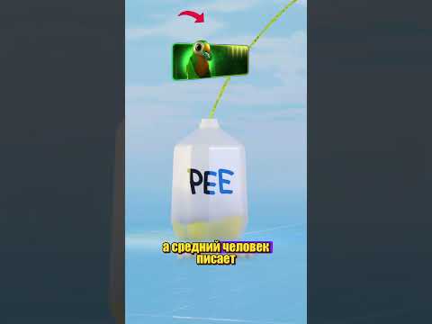 @zackdfilms ЧТО ПРОИЗОЙДЕТ thumbnail