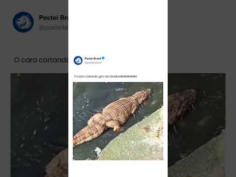? | #memes #shorts #brazilmemes thumbnail