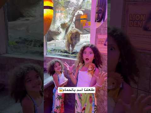 تخايلو تصير معكم😱 #اكسبلور #viralvideo #lion #shortvideo #balisafari thumbnail