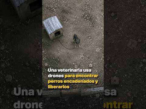 Una Veterinaria usa drones para encontrar perros encadenados y liberarlos thumbnail
