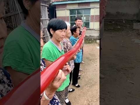 Nướng cây xúc xích dài nhất thế giới thumbnail